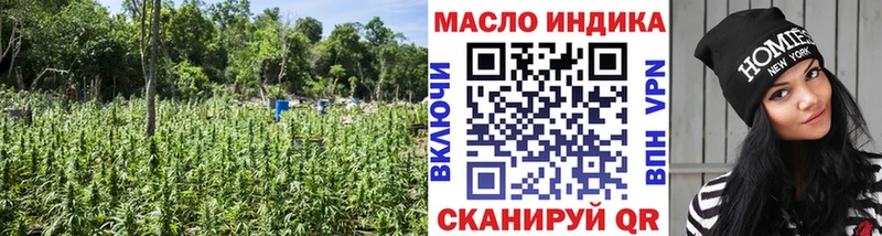 ТГК THC oil  сайты даркнета какой сайт  Кириши  закладки 